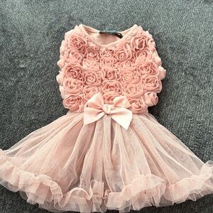 Pawpatu Pink Rosette Tulle dog Dress